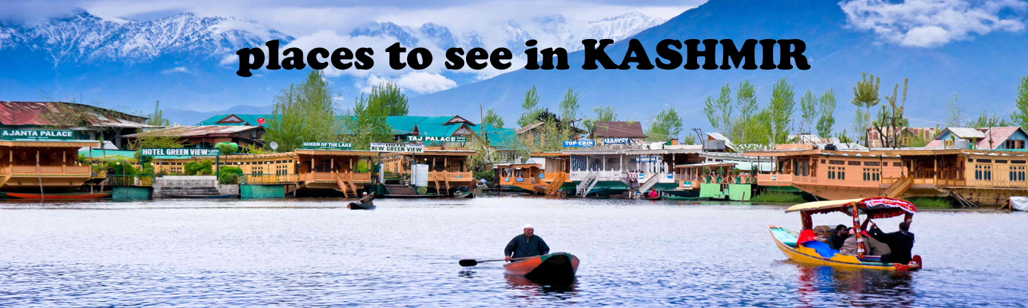 Tour Operator Srinagar